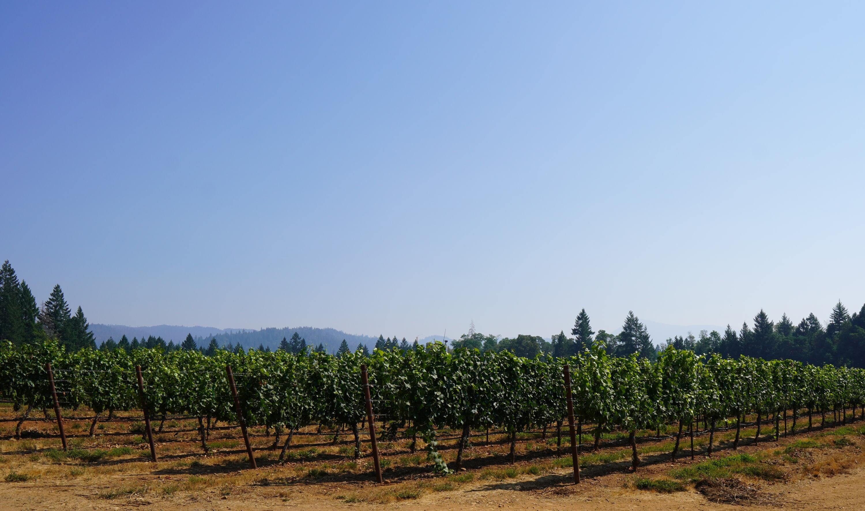 2789 Holland Loop Road Cave Junction, OR 97523 - Photo 17 of 25 DSC03676
