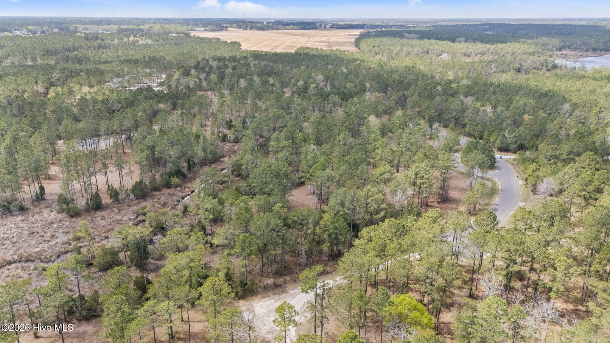 222 Shell Castle Lane Vandemere, NC 28587 - Photo 6 of 13 12-web-or-mls-DJI_20260331124230_0175_D