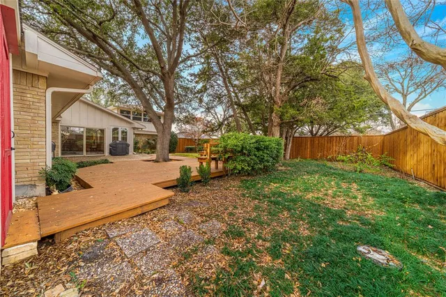 a view of a yard with plants and trees