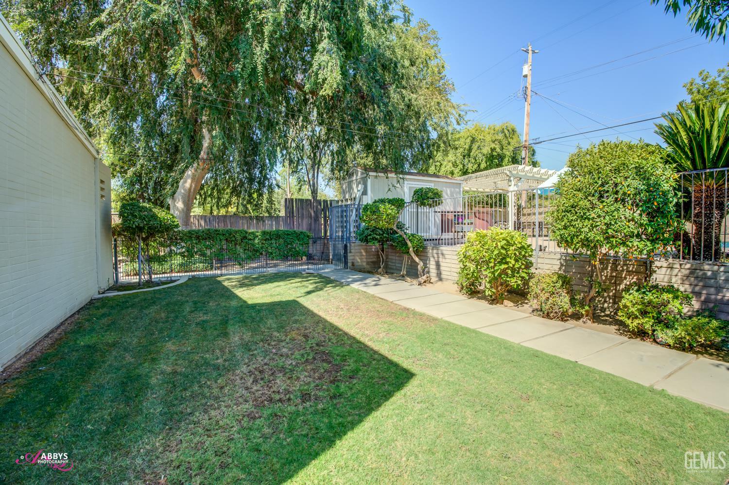 Undisclosed Address Bakersfield, CA 93306 - Photo 49 of 56 a view of a backyard with potted plants and large trees