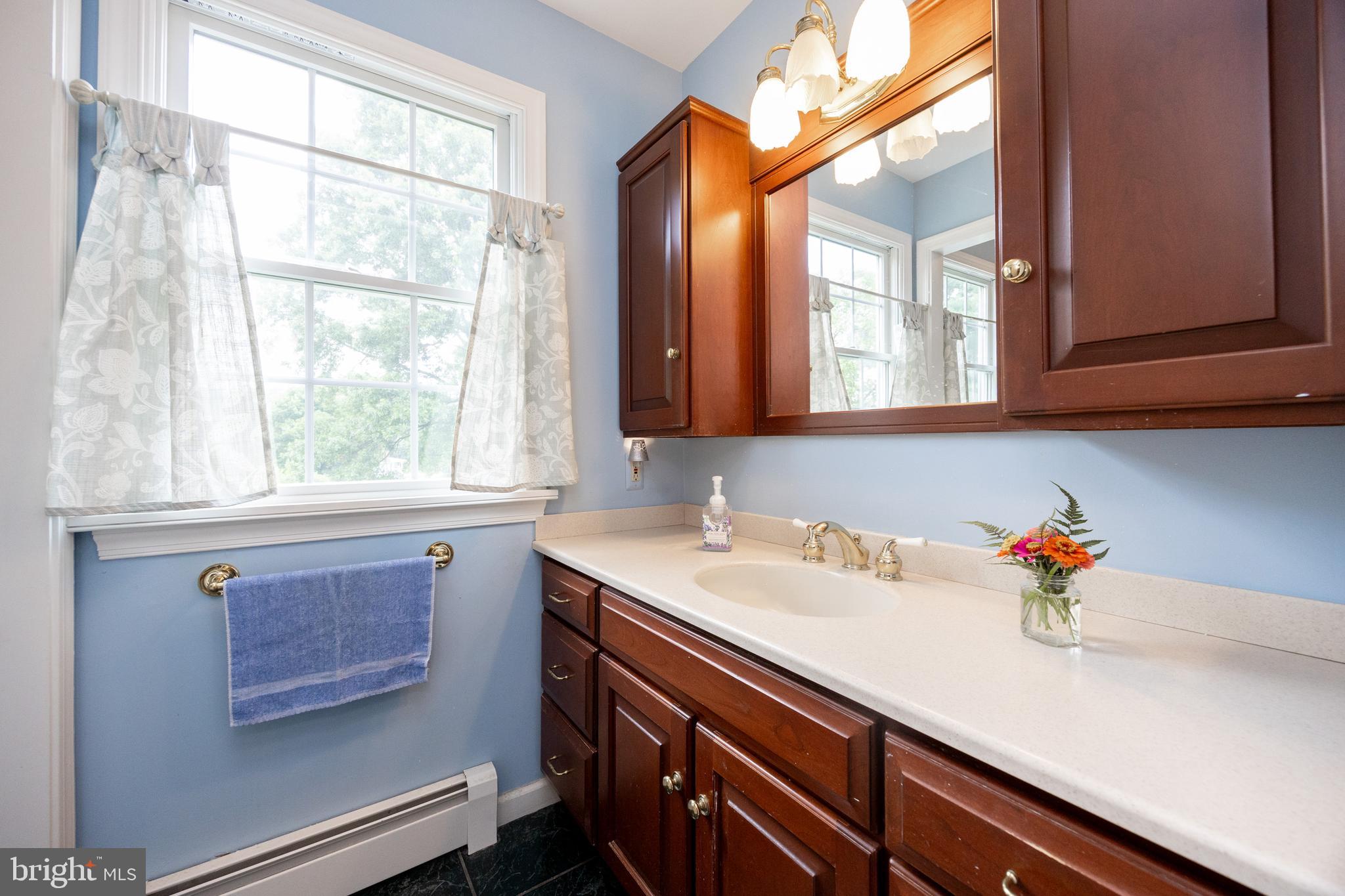 741 Cowpath Road Telford, PA 18969 - Photo 36 of 72 a bathroom with a sink a vanity and a window