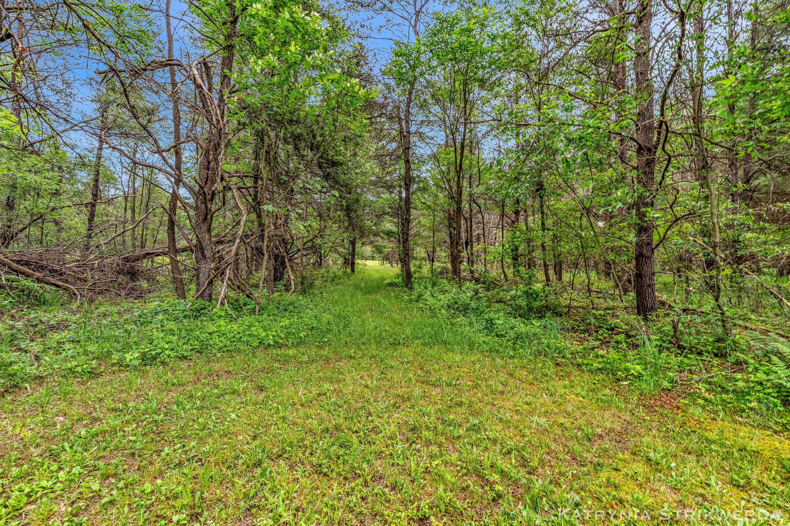 V/l East Kinney Road Branch, MI 49402 - Photo 23 of 41 _DSC9604
