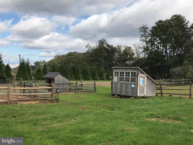 4627 Steltz Road New Freedom, PA 17349 - Photo 23 of 29 Chicken Cop