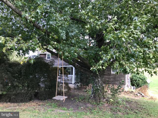 4627 Steltz Road New Freedom, PA 17349 - Photo 6 of 29 Side Yard with Old Shade Tree with Swing