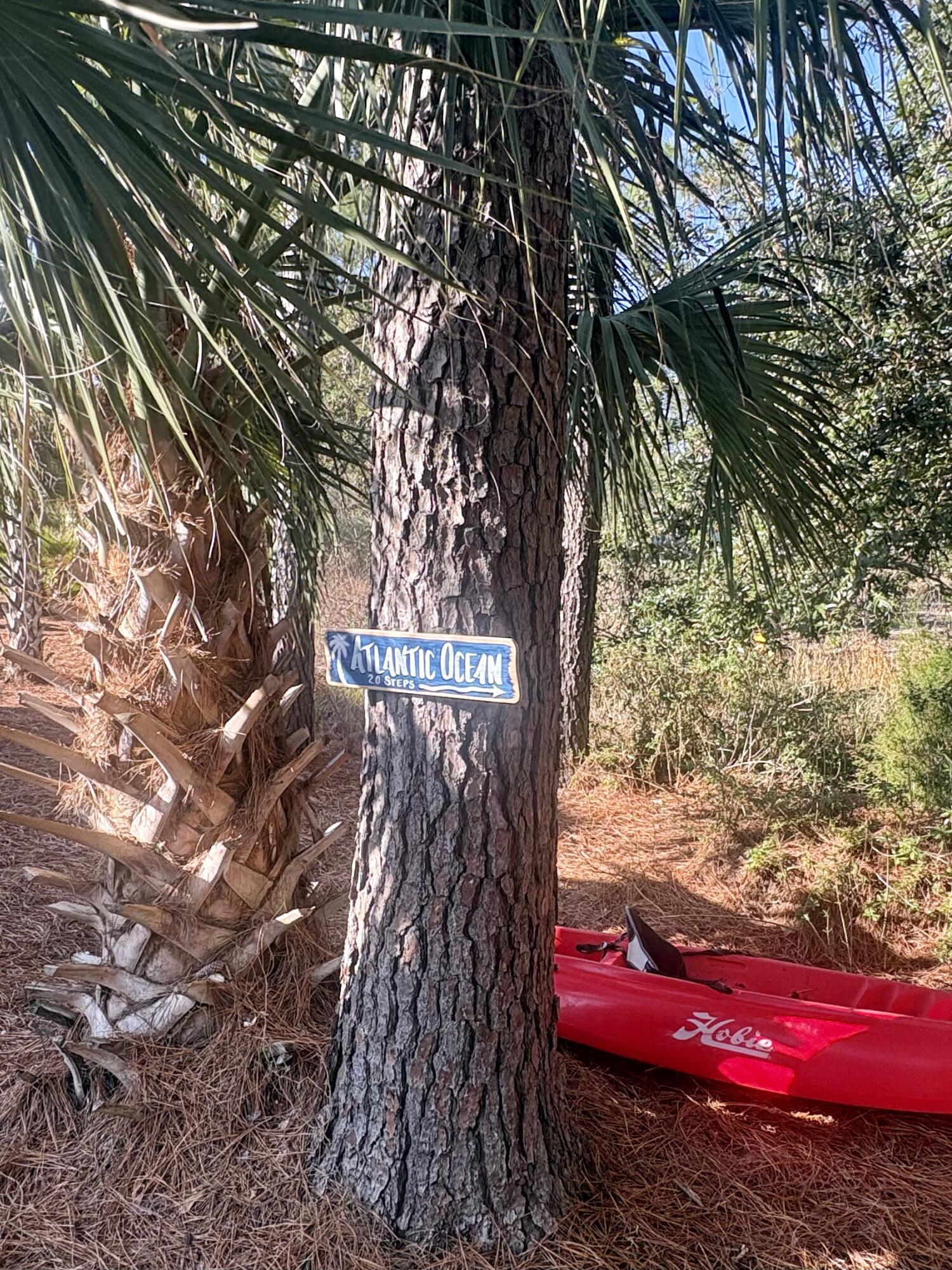 4882 Sound View Drive Mount Pleasant, SC 29466 - Photo 60 of 80 Kayack Access