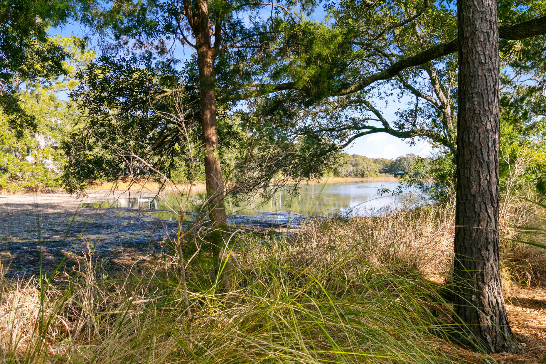 4882 Sound View Drive Mount Pleasant, SC 29466 - Photo 61 of 80 Tidal Creek