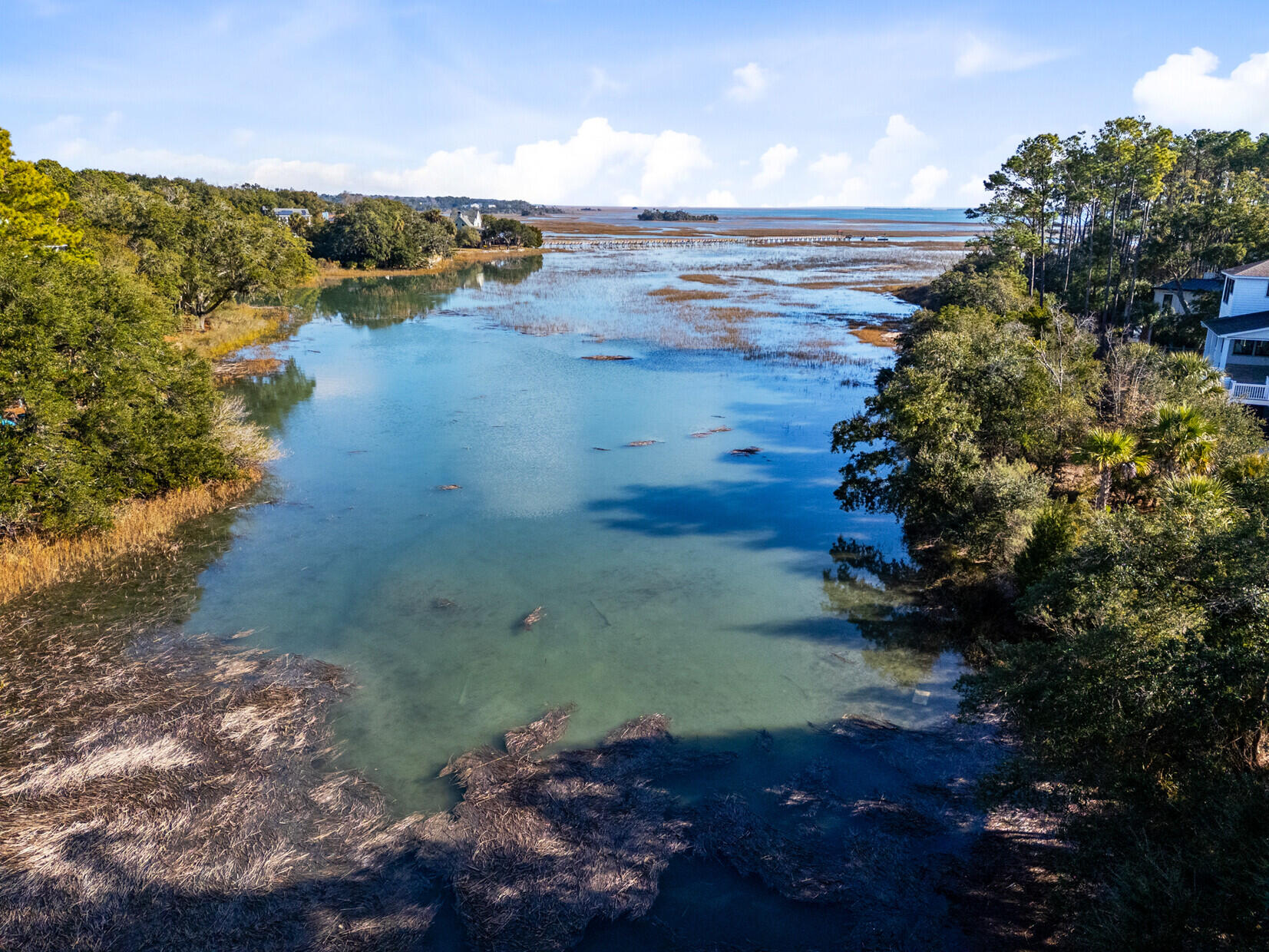 4882 Sound View Drive Mount Pleasant, SC 29466 - Photo 63 of 80 Creek Behind Home