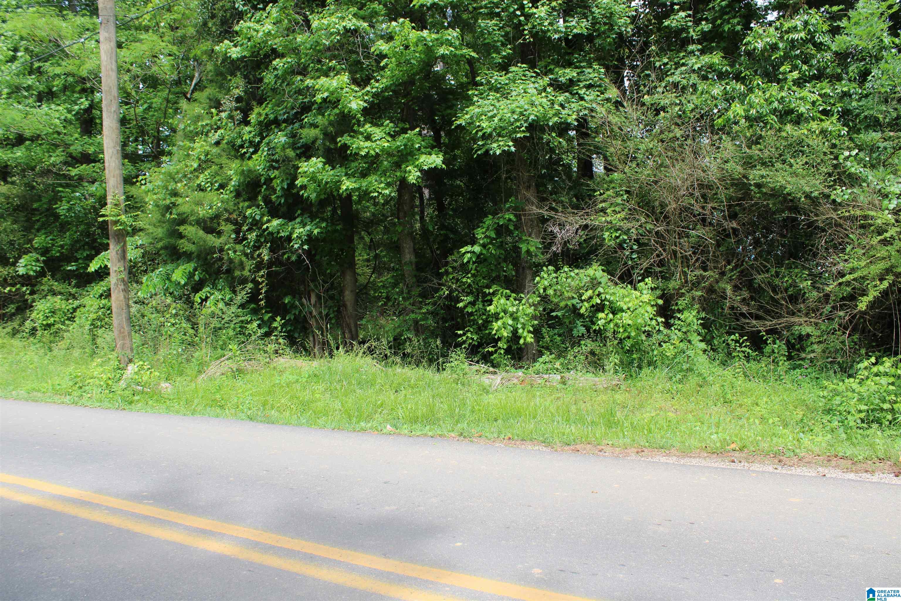 0 Wooten Road, Unit 100 Alabaster, AL 35007 - Photo 3 of 5