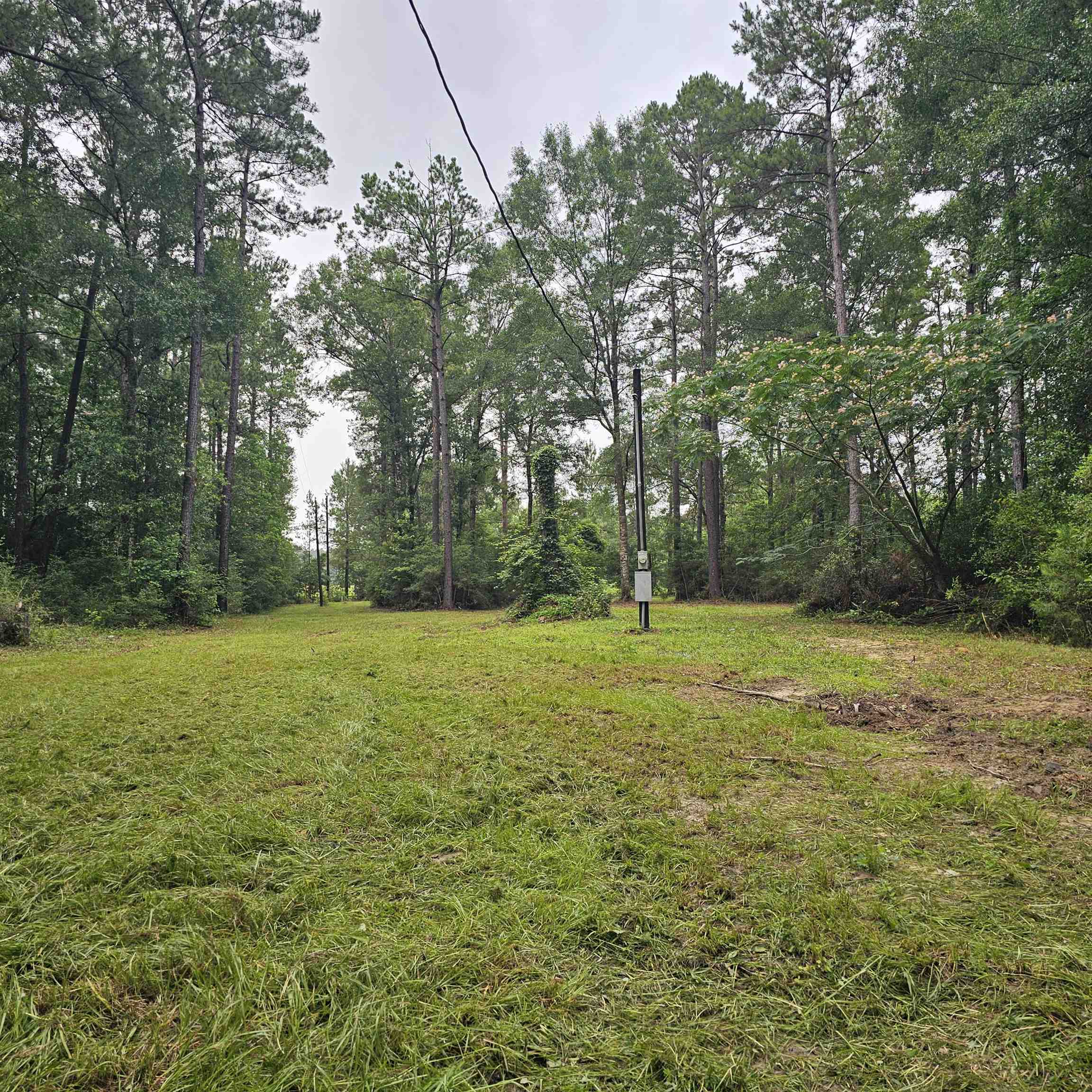 0 County Road 3110 Call, TX 75933 - Photo 39 of 40