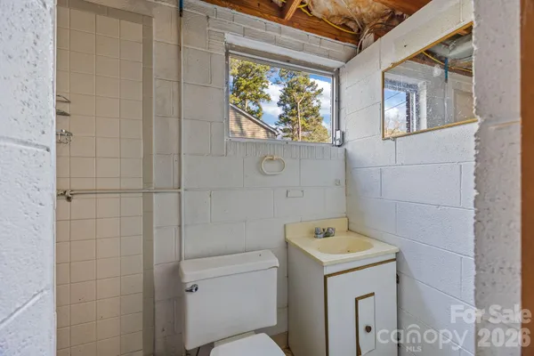 a bathroom with a shower and toilet