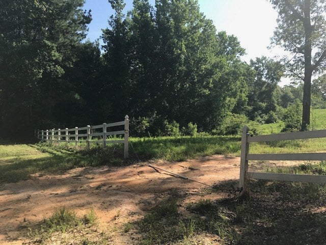 20.33-ac Dee Road Opp, AL 36467 - Photo 3 of 14 Gallery Image 3