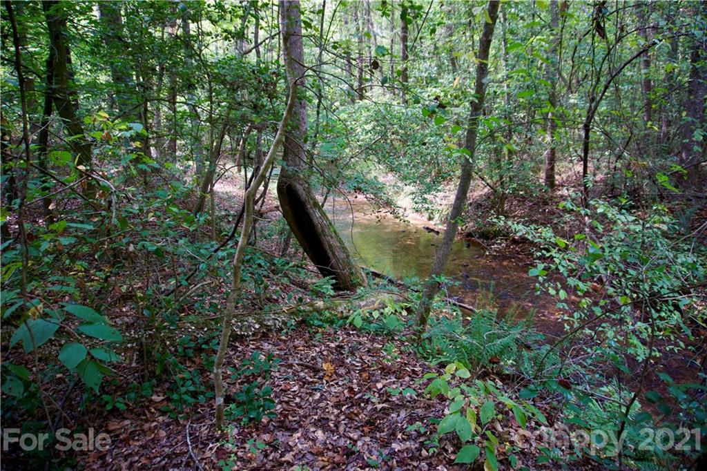 0 Hopewell Road Ellenboro, NC 28040 - Photo 1 of 25 Gallery Image 1