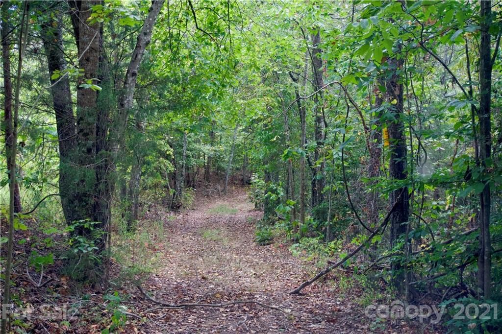 0 Hopewell Road Ellenboro, NC 28040 - Photo 11 of 25 Gallery Image 11