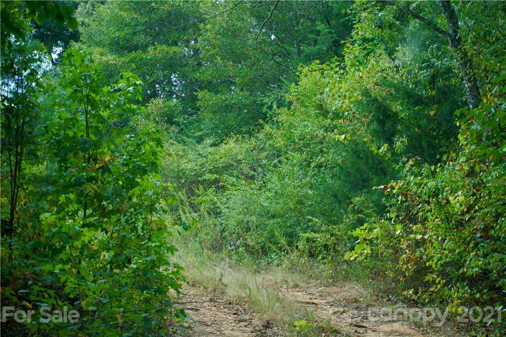 0 Hopewell Road Ellenboro, NC 28040 - Photo 12 of 25 Gallery Image 12