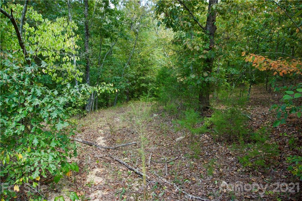0 Hopewell Road Ellenboro, NC 28040 - Photo 13 of 25 Gallery Image 13