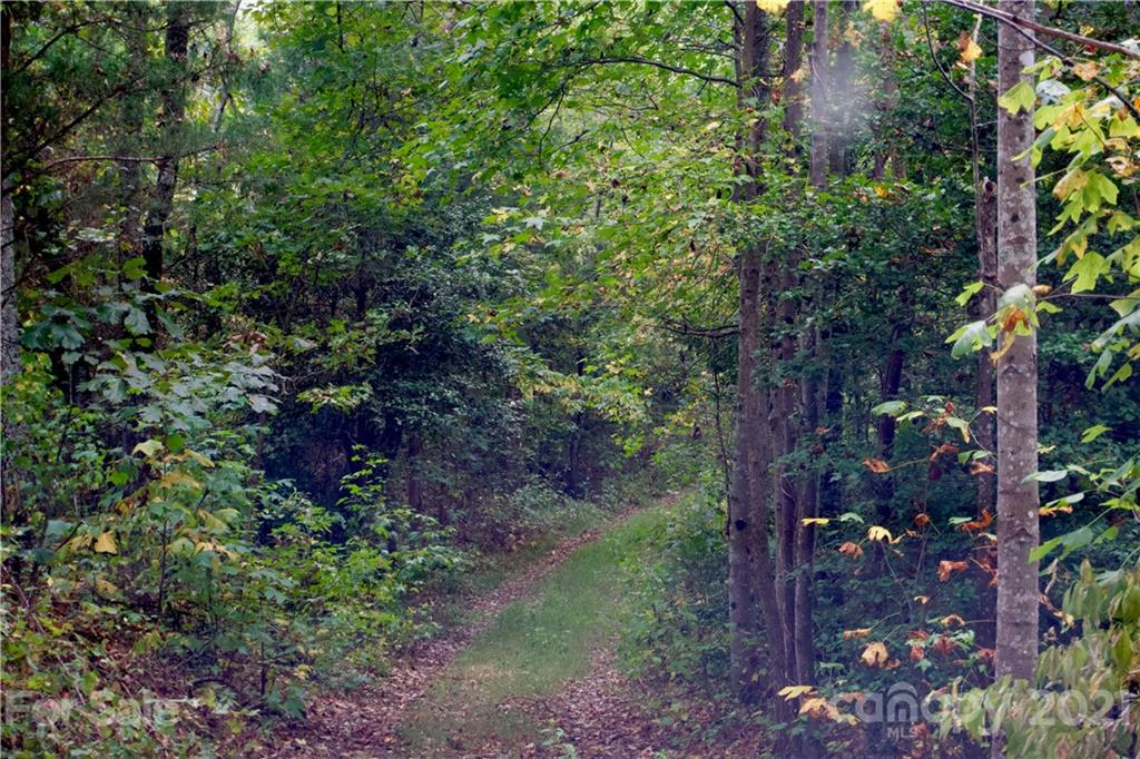 0 Hopewell Road Ellenboro, NC 28040 - Photo 14 of 25 Gallery Image 14