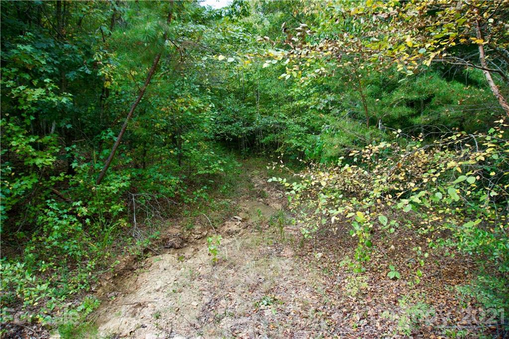 0 Hopewell Road Ellenboro, NC 28040 - Photo 15 of 25 Gallery Image 15