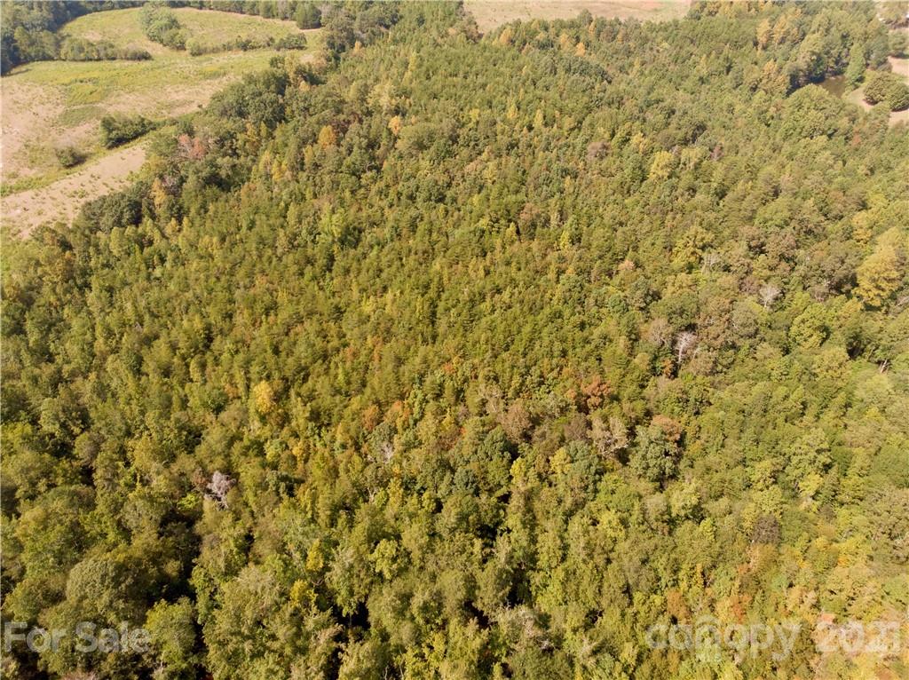0 Hopewell Road Ellenboro, NC 28040 - Photo 17 of 25 Gallery Image 17
