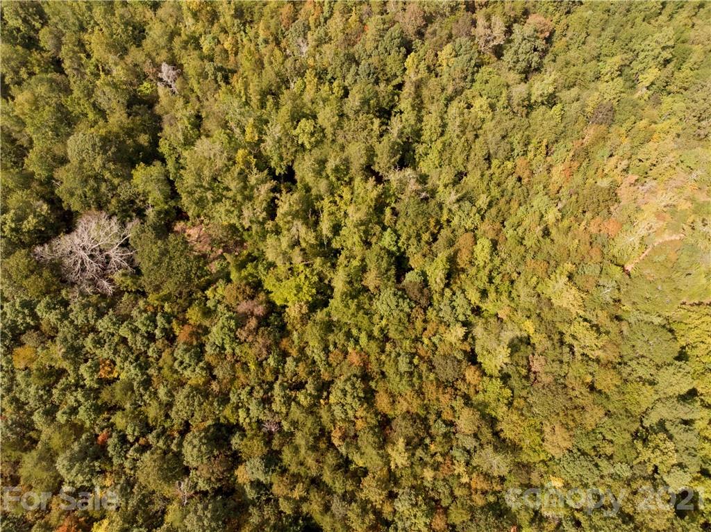0 Hopewell Road Ellenboro, NC 28040 - Photo 20 of 25 Gallery Image 20