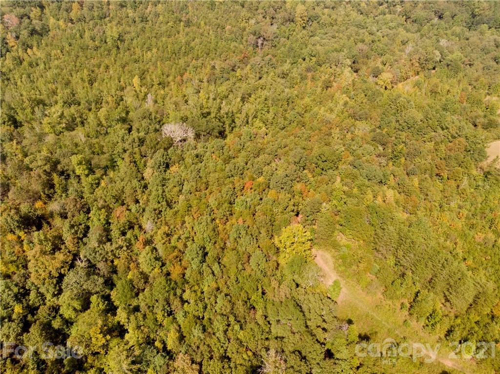 0 Hopewell Road Ellenboro, NC 28040 - Photo 21 of 25 Gallery Image 21