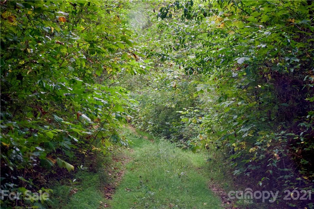 0 Hopewell Road Ellenboro, NC 28040 - Photo 7 of 25 Gallery Image 7