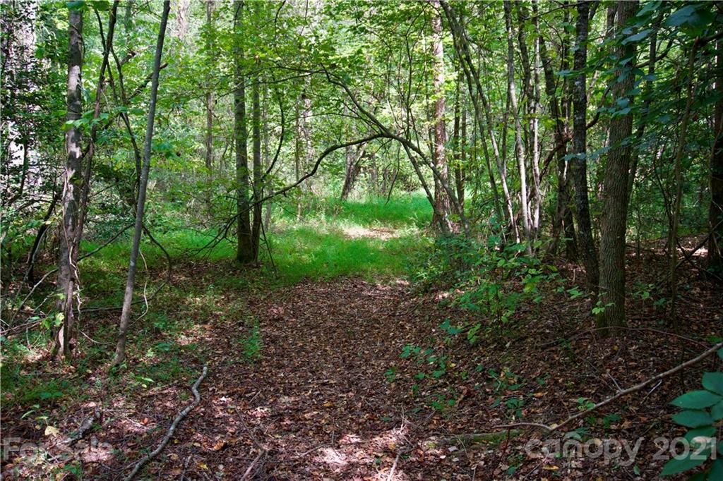 0 Hopewell Road Ellenboro, NC 28040 - Photo 8 of 25 Gallery Image 8