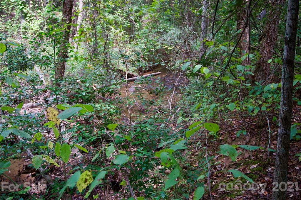 0 Hopewell Road Ellenboro, NC 28040 - Photo 9 of 25 Gallery Image 9