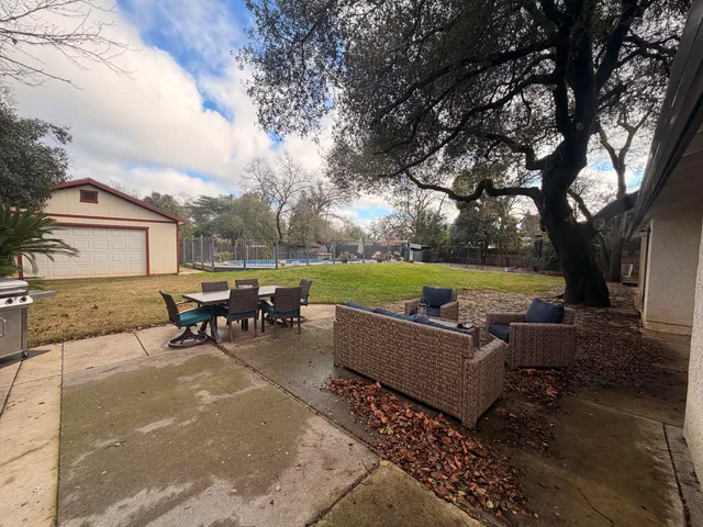 a view of a backyard with plants and large trees