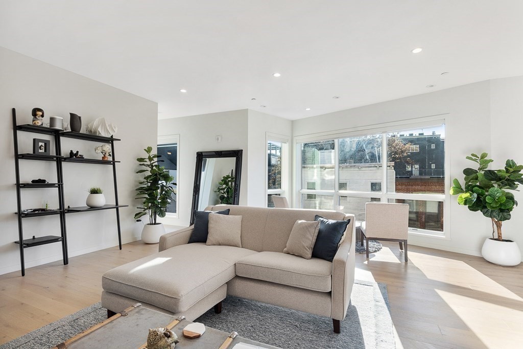 100 A Street, Unit 4 Boston, MA 02127 - Photo 5 of 42 a living room with furniture and a potted plant