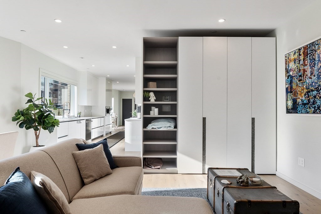 100 A Street, Unit 4 Boston, MA 02127 - Photo 8 of 42 a living room with furniture and a potted plant