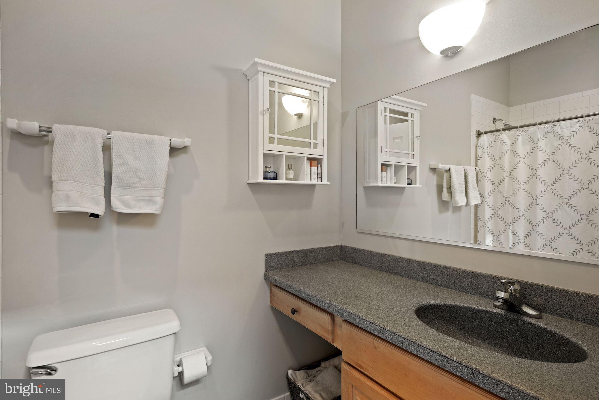 20 Logan Circle Northwest, Unit 32 Washington, DC 20005 - Photo 11 of 12 Full bathroom with large vanity