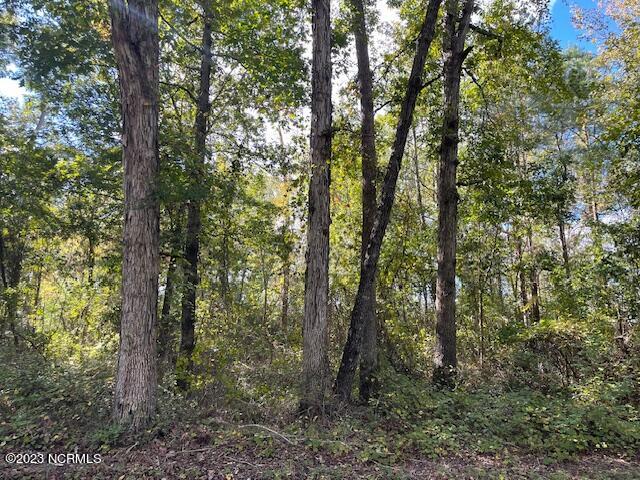 0 Powell Road Rocky Mount, NC 27801 - Photo 1 of 1 IMG_4955