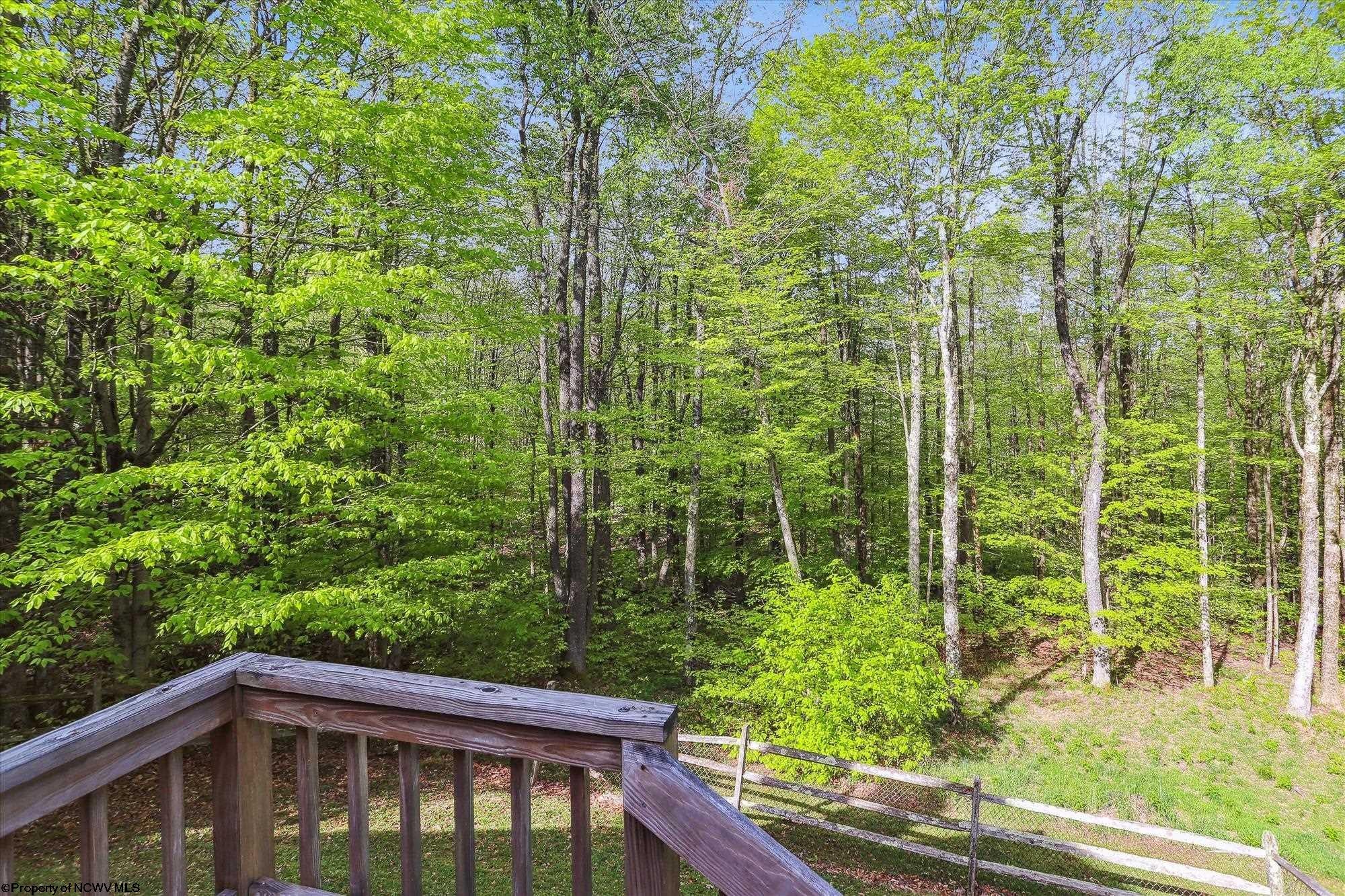 1731 Cabin Mountain Road Davis, WV 26260 - Photo 37 of 40 Gallery Image 37