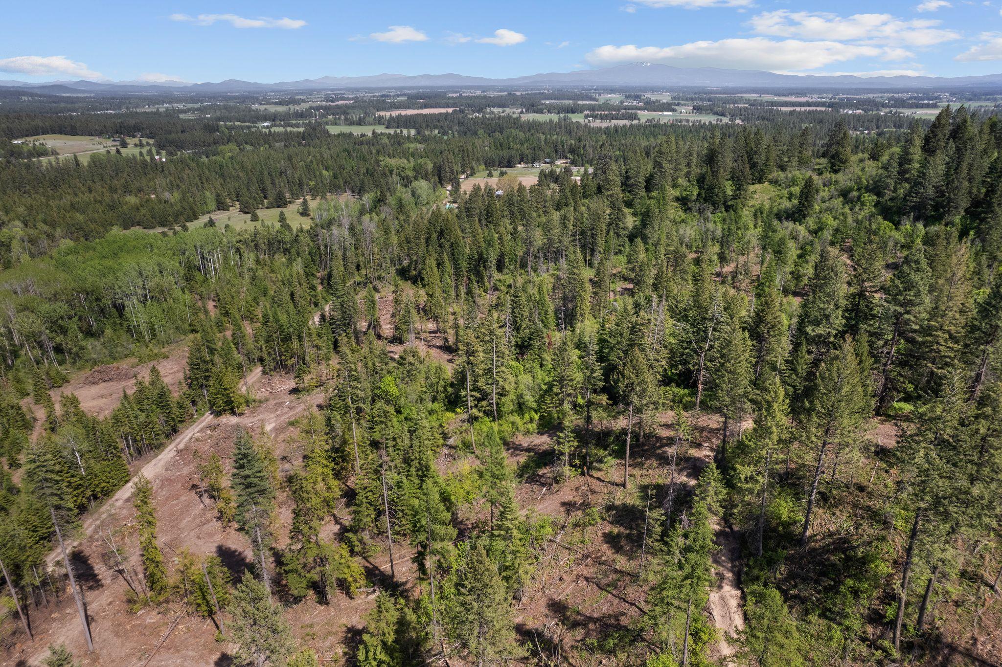 4941 Redman Road Clayton, WA 99110 - Photo 12 of 44