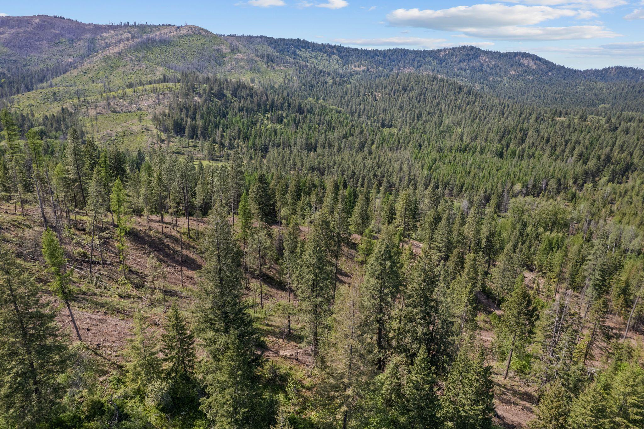 4941 Redman Road Clayton, WA 99110 - Photo 13 of 44