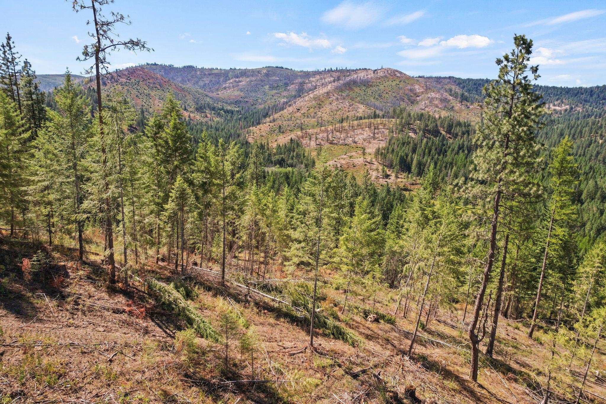 4941 Redman Road Clayton, WA 99110 - Photo 29 of 44