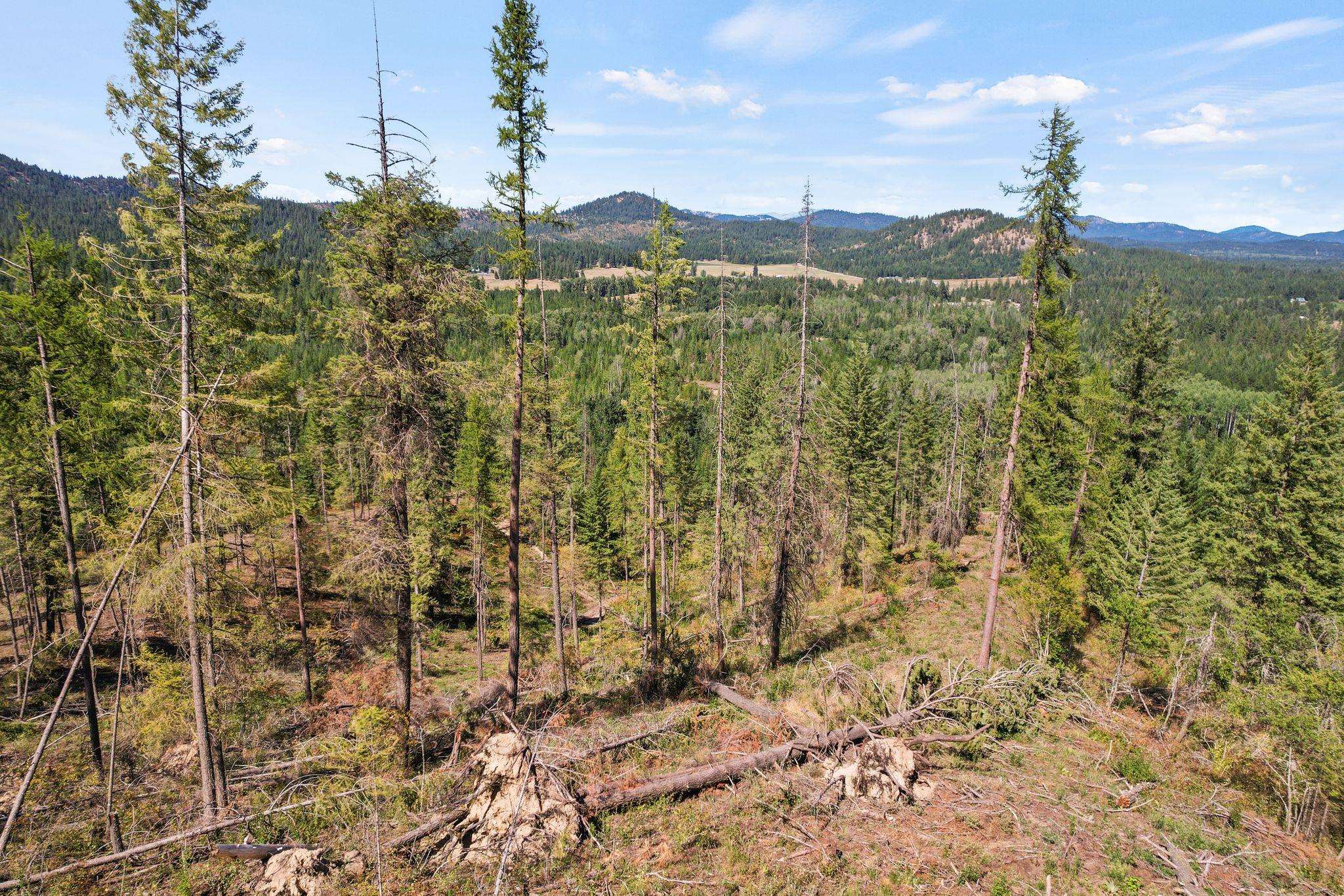 4941 Redman Road Clayton, WA 99110 - Photo 31 of 44