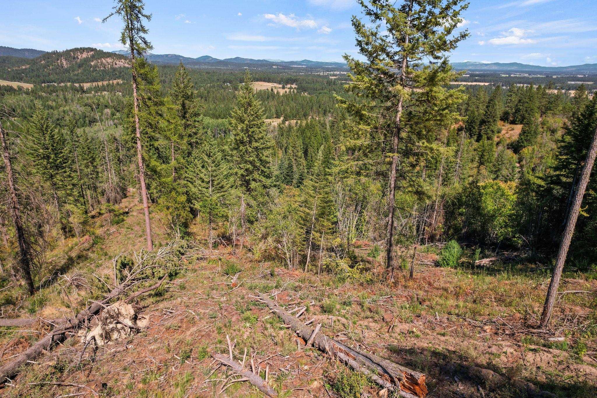 4941 Redman Road Clayton, WA 99110 - Photo 32 of 44