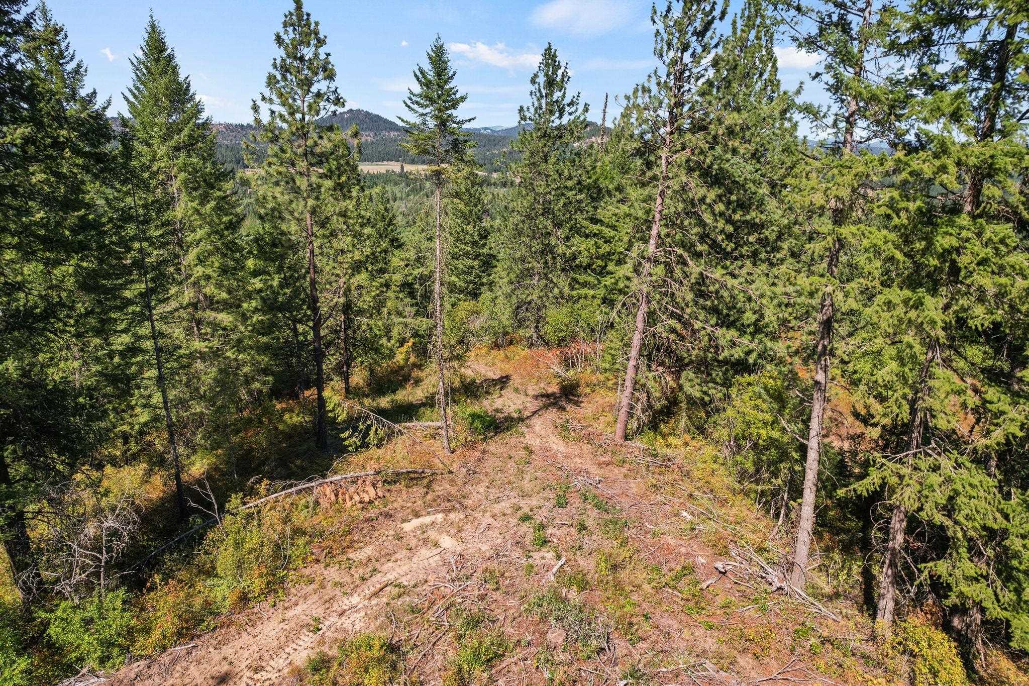 4941 Redman Road Clayton, WA 99110 - Photo 33 of 44