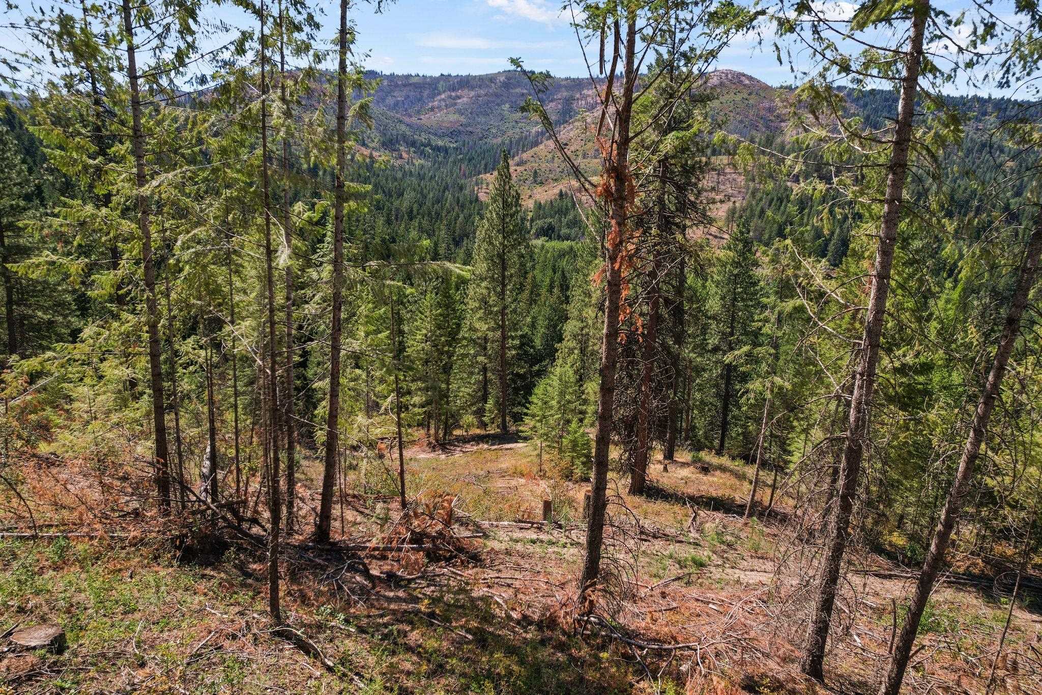 4941 Redman Road Clayton, WA 99110 - Photo 40 of 44