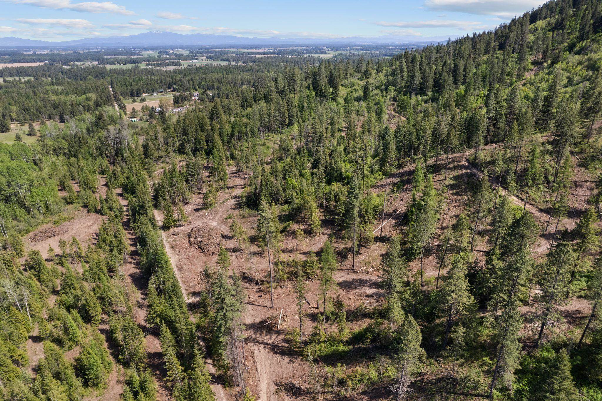 4941 Redman Road Clayton, WA 99110 - Photo 8 of 44