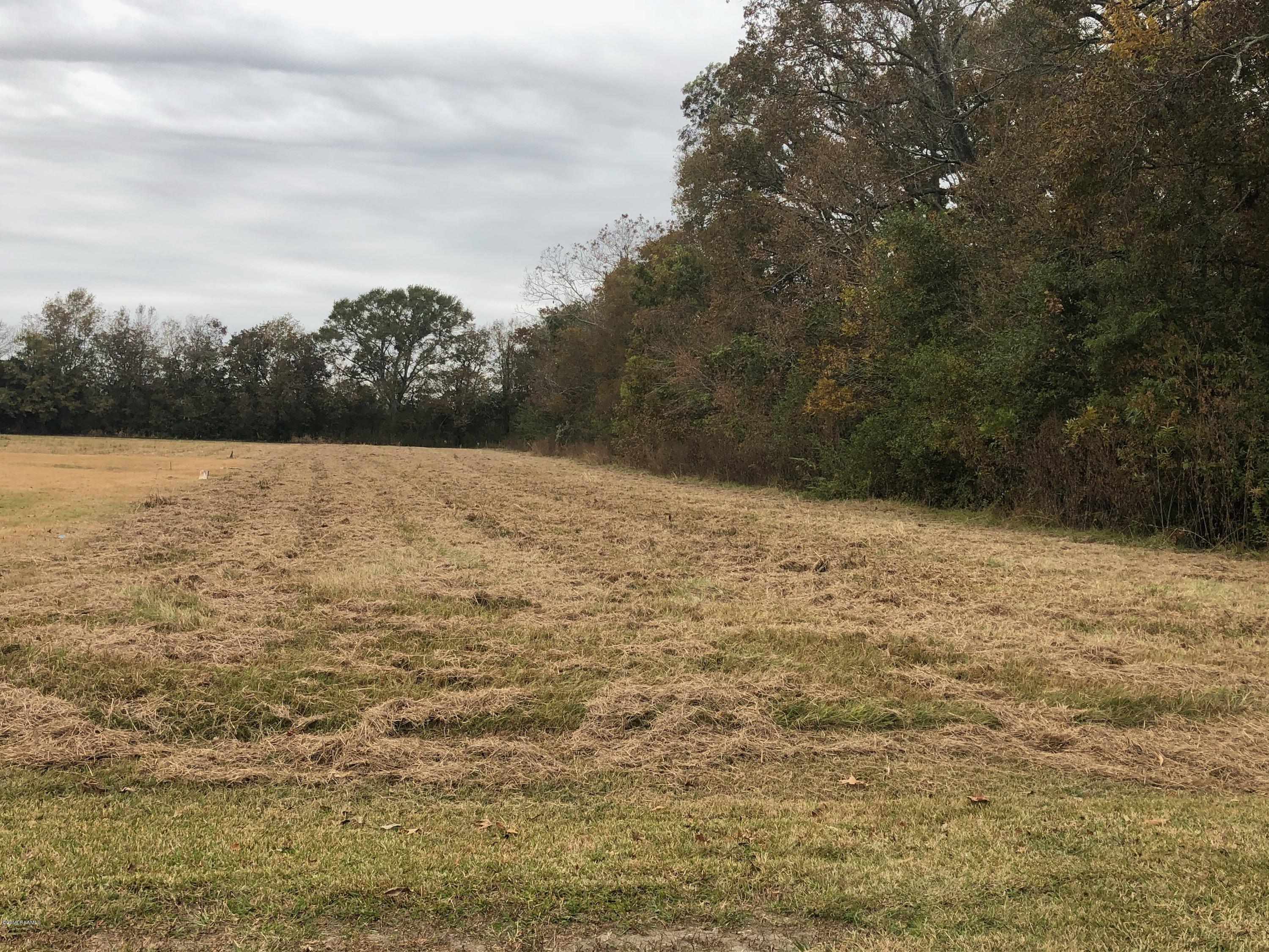 Tbd Sam Champagne Road Breaux Bridge, LA 70517 - Photo 1 of 5 IMG_4914