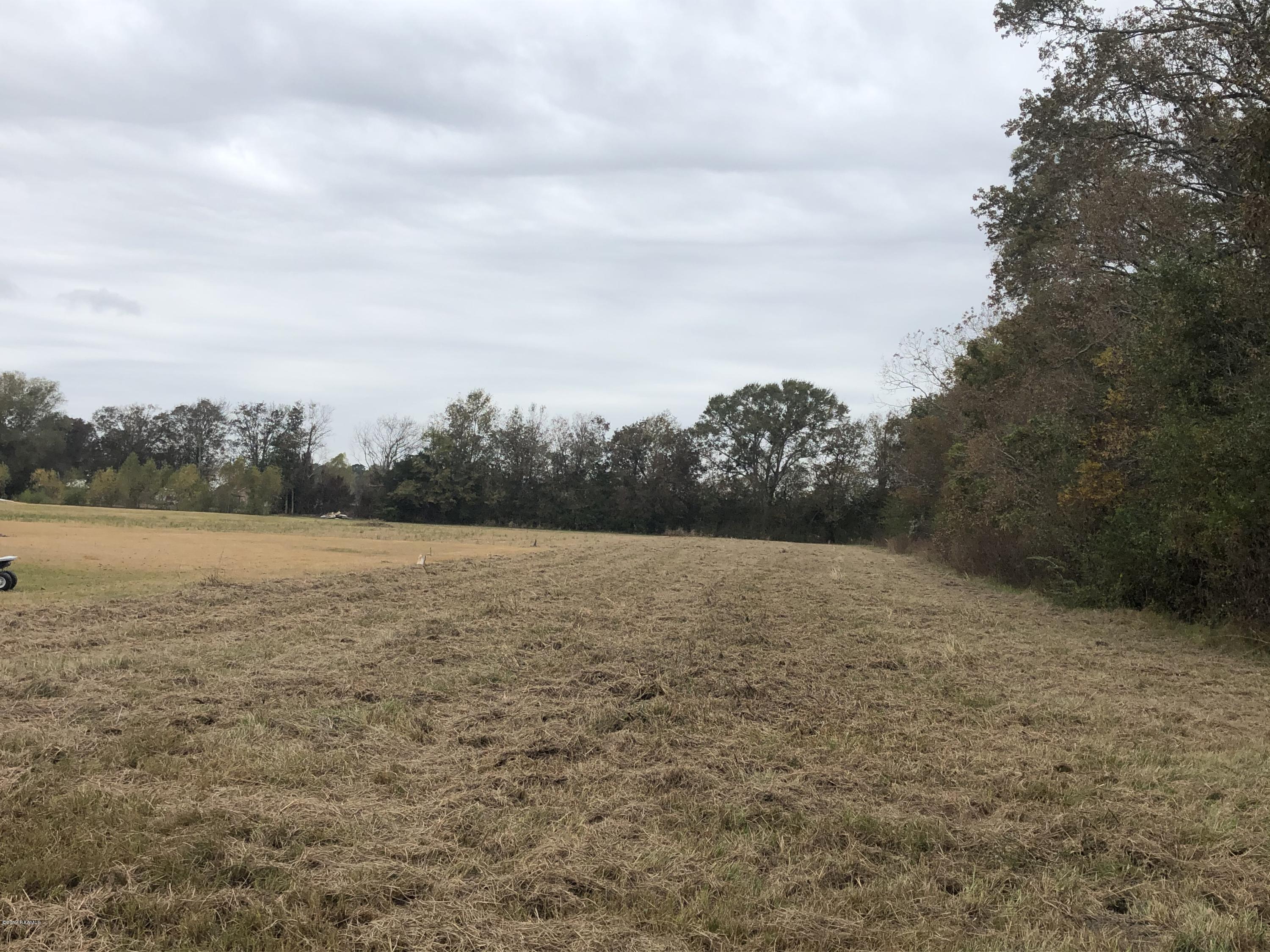 Tbd Sam Champagne Road Breaux Bridge, LA 70517 - Photo 2 of 5 IMG_4915