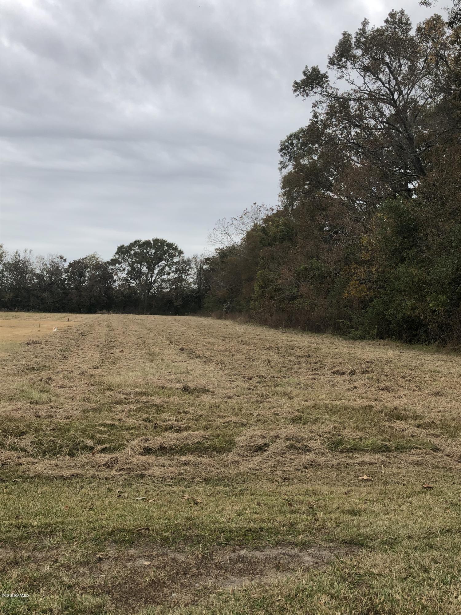 Tbd Sam Champagne Road Breaux Bridge, LA 70517 - Photo 3 of 5 IMG_4913