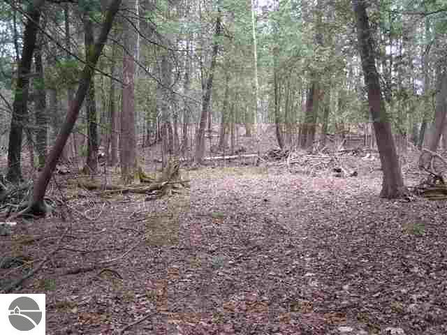 1911 Vaughn Road National City, MI 48748 - Photo 1 of 6 1743016.JPG