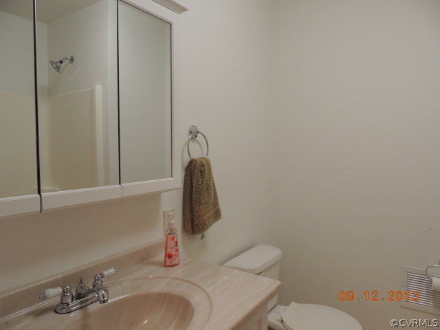 580 Guinea Road Farmville, VA 23901 - Photo 16 of 16 a bathroom with a sink vanity and toilet
