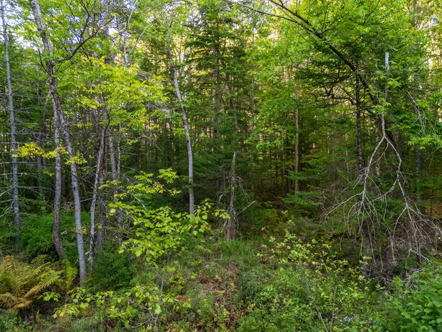 $99,850 | 14 Webb Road, Pittston, ME 04345