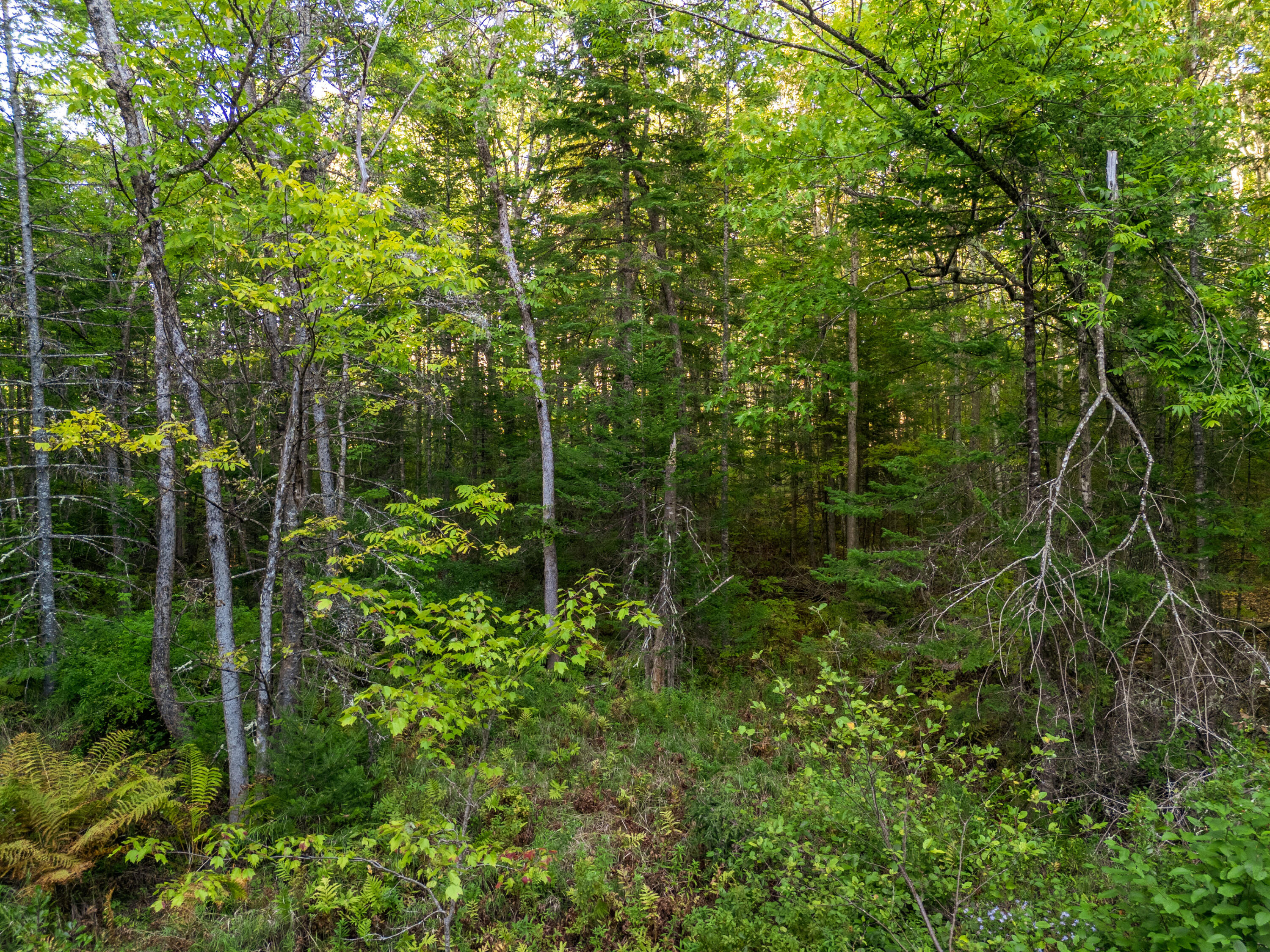 14 Webb Road Pittston, ME 04345 - Photo 12 of 16 Photo_12