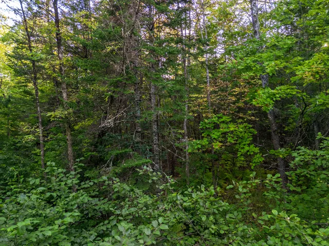 $99,850 | 14 Webb Road, Pittston, ME 04345