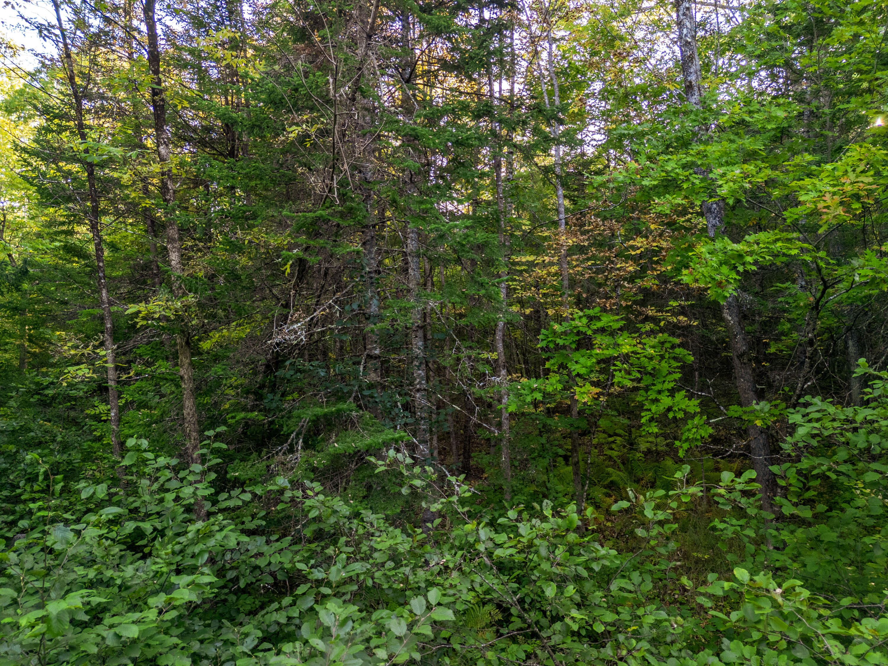 14 Webb Road Pittston, ME 04345 - Photo 13 of 16 Photo_13